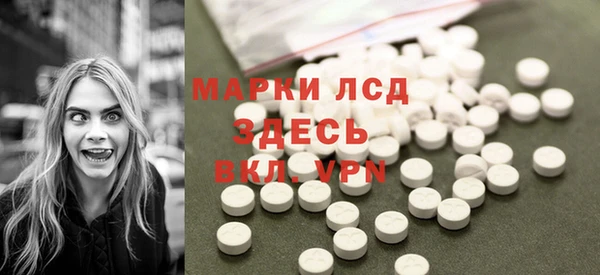 молекула духа Осташков