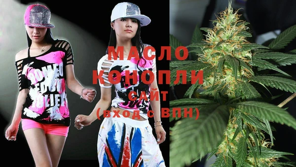 молекула духа Осташков