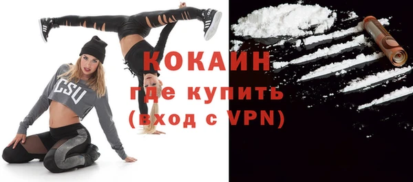 молекула духа Осташков