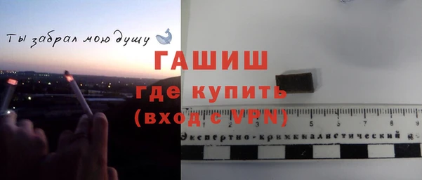 молекула духа Осташков