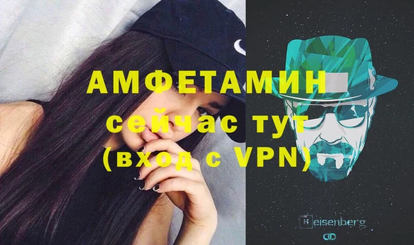 молекула духа Осташков