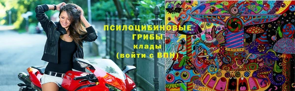 молекула духа Осташков