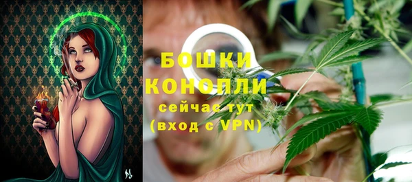 молекула духа Осташков
