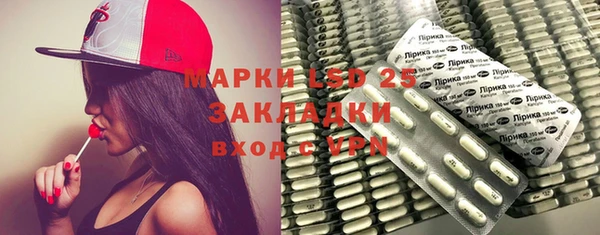 молекула духа Осташков