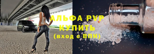 молекула духа Осташков