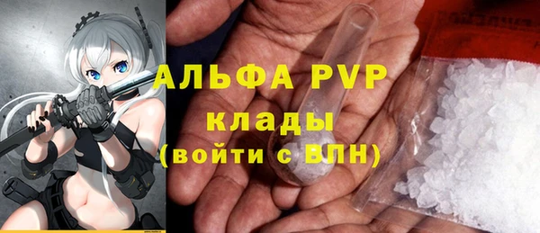 молекула духа Осташков