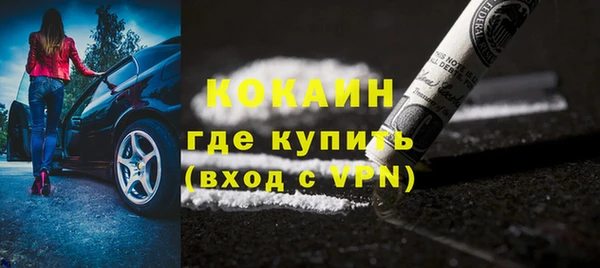 молекула духа Осташков